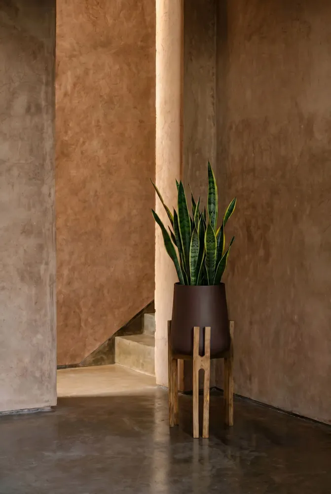 Flower pots - The Forked Root Planter - Natural Brown - L - BAZAR BIZAR LIVING