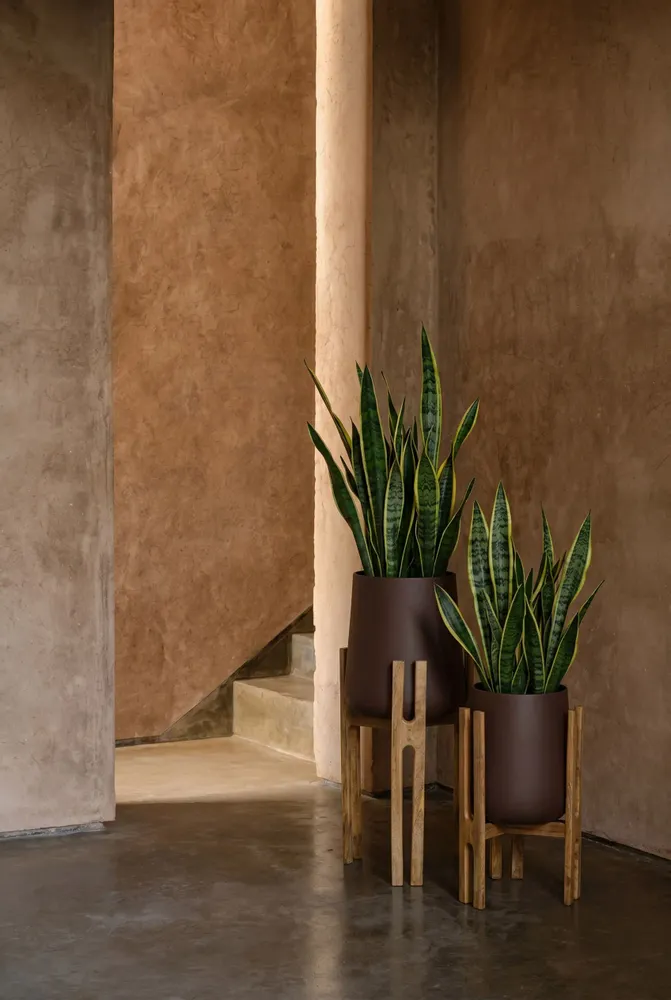 Pots de fleurs - Le Cache-Pot Forked Root - Brun Naturel - M - BAZAR BIZAR LIVING