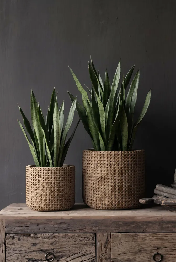 Flower pots - The RattanRock Planter - Natural - XL - BAZAR BIZAR LIVING