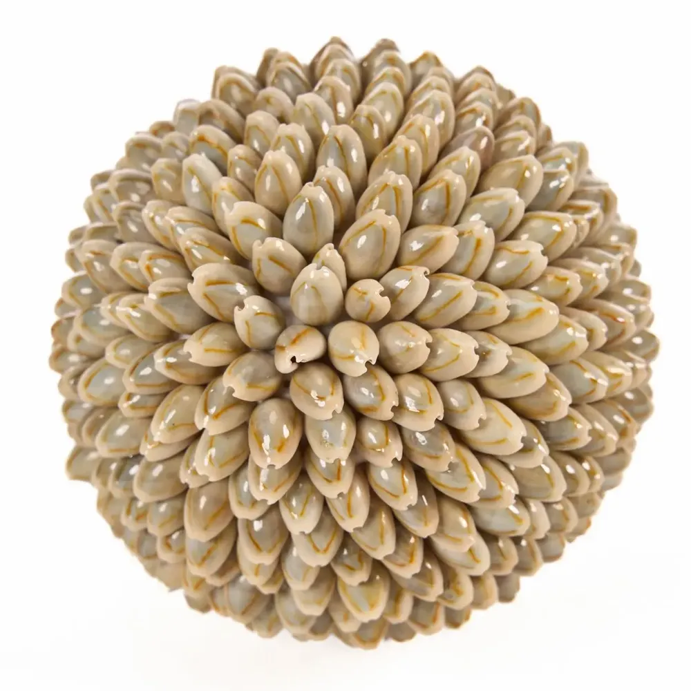 Objets de décoration - La Oluolu Shell Balle - L - BAZAR BIZAR LIVING