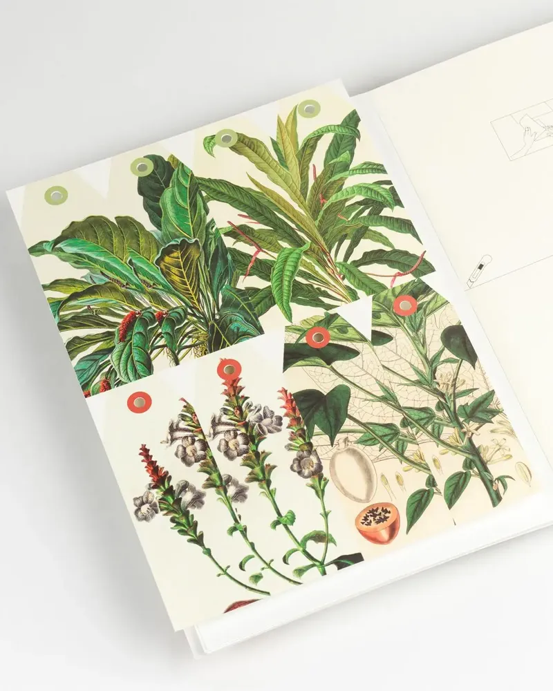 Carterie - Livres de Papier Créatif - THE PEPIN PRESS