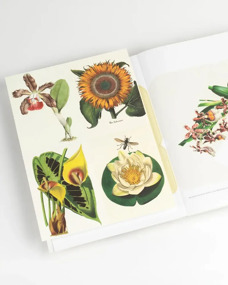 Carterie - Livres de Papier Créatif - THE PEPIN PRESS
