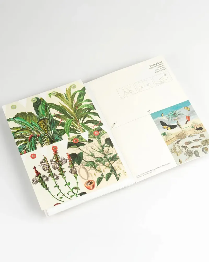 Carterie - Livres de Papier Créatif - THE PEPIN PRESS