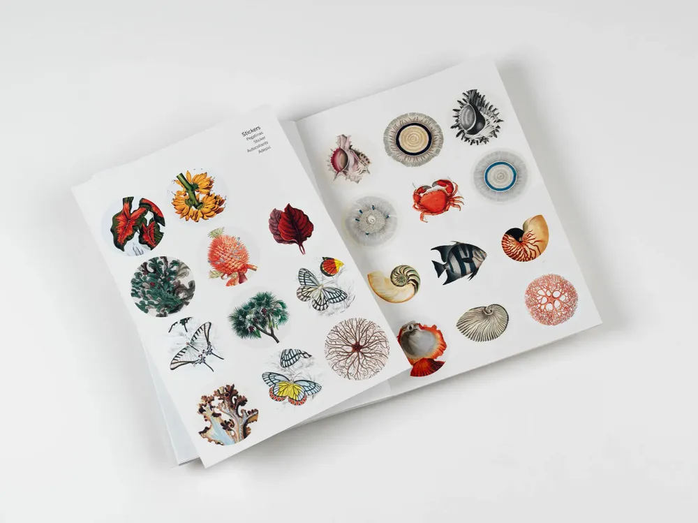 Carterie - Livres de Papier Créatif - THE PEPIN PRESS