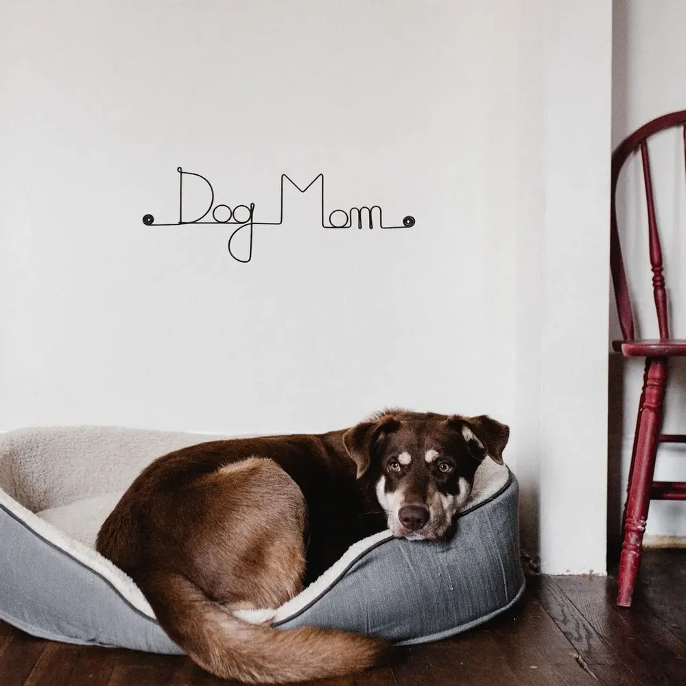 Gifts - Wall decoration\" Dog\” made of wire\ "Dog Mom\” - to pin - BIJOUX DE MUR