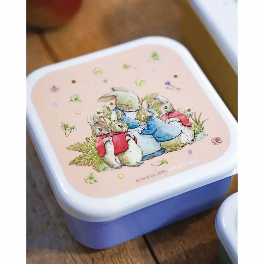 Food storage - Set of 3 lunch boxes Pierre Lapin - PETIT JOUR PARIS