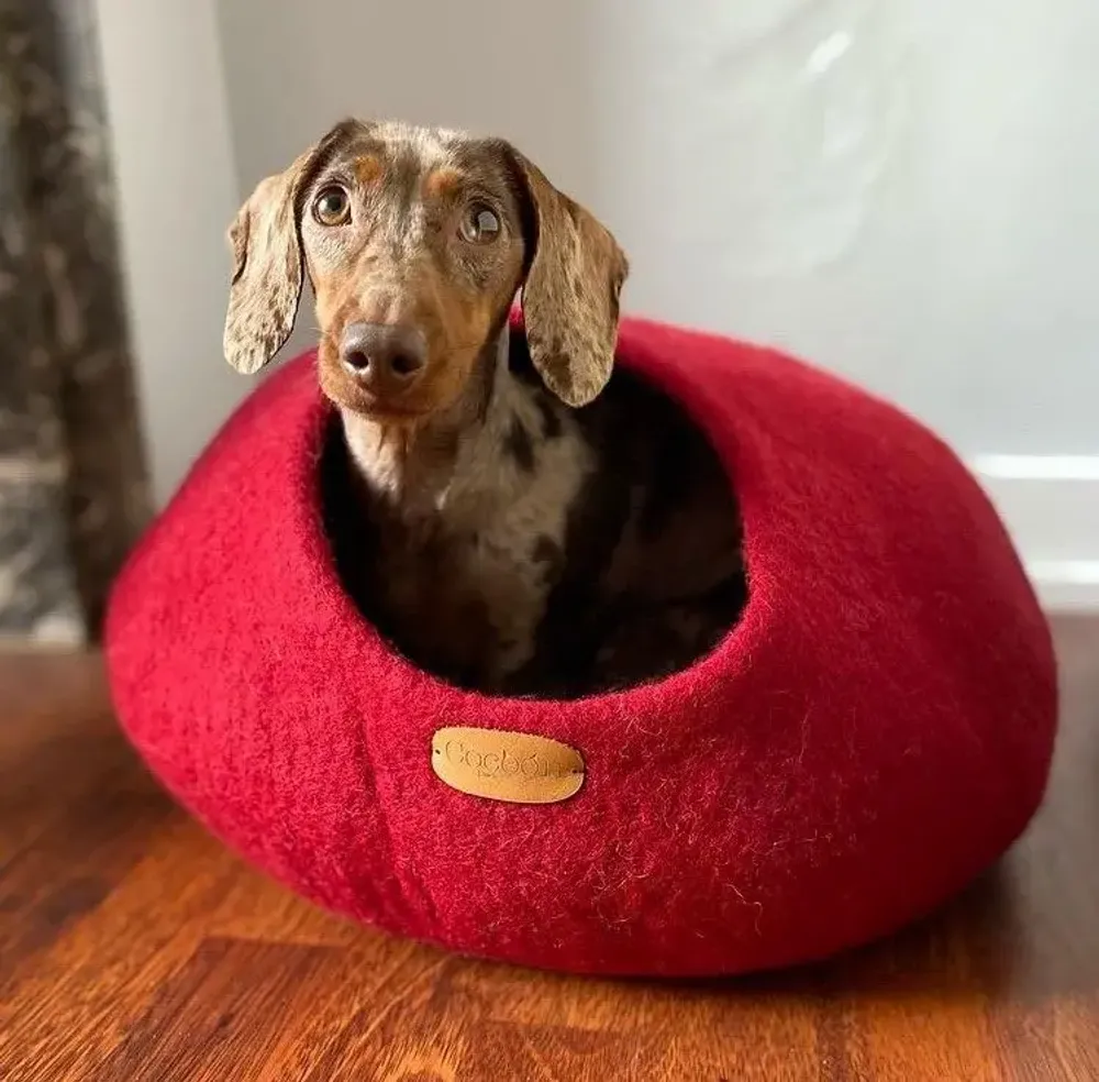 Rugs - Cat Cocoon, Cat Cave, Cat Sleeping, Cat Sleeping, Cat Basket, Igloo, Cat House, Bed, Cabin, Cat House - COCOON PARIS