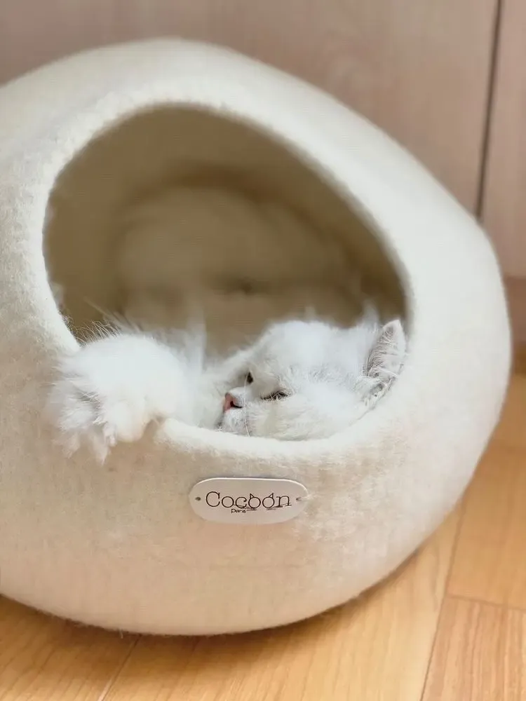 Rugs - Cat Cocoon, Cat Cave, Cat Sleeping, Cat Sleeping, Cat Basket, Igloo, Cat House, Bed, Cabin, Cat House - COCOON PARIS