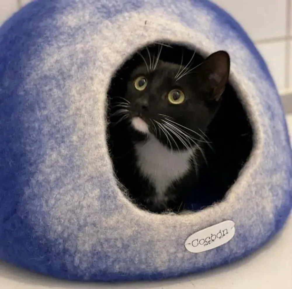 Rugs - Cat Cocoon, Cat Cave, Cat Sleeping, Cat Sleeping, Cat Basket, Igloo, Cat House, Bed, Cabin, Cat House - COCOON PARIS