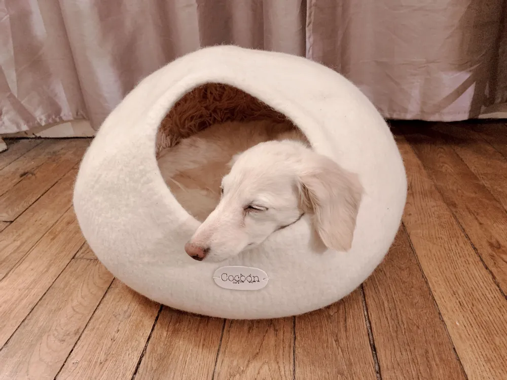 Rugs - Cat Cocoon, Cat Cave, Cat Sleeping, Cat Sleeping, Cat Basket, Igloo, Cat House, Bed, Cabin, Cat House - COCOON PARIS