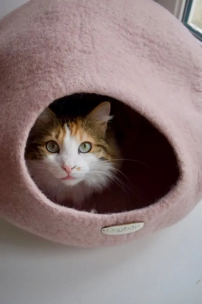 Rugs - Cat Cocoon, Cat Cave, Cat Sleeping, Cat Sleeping, Cat Basket, Igloo, Cat House, Bed, Cabin, Cat House - COCOON PARIS