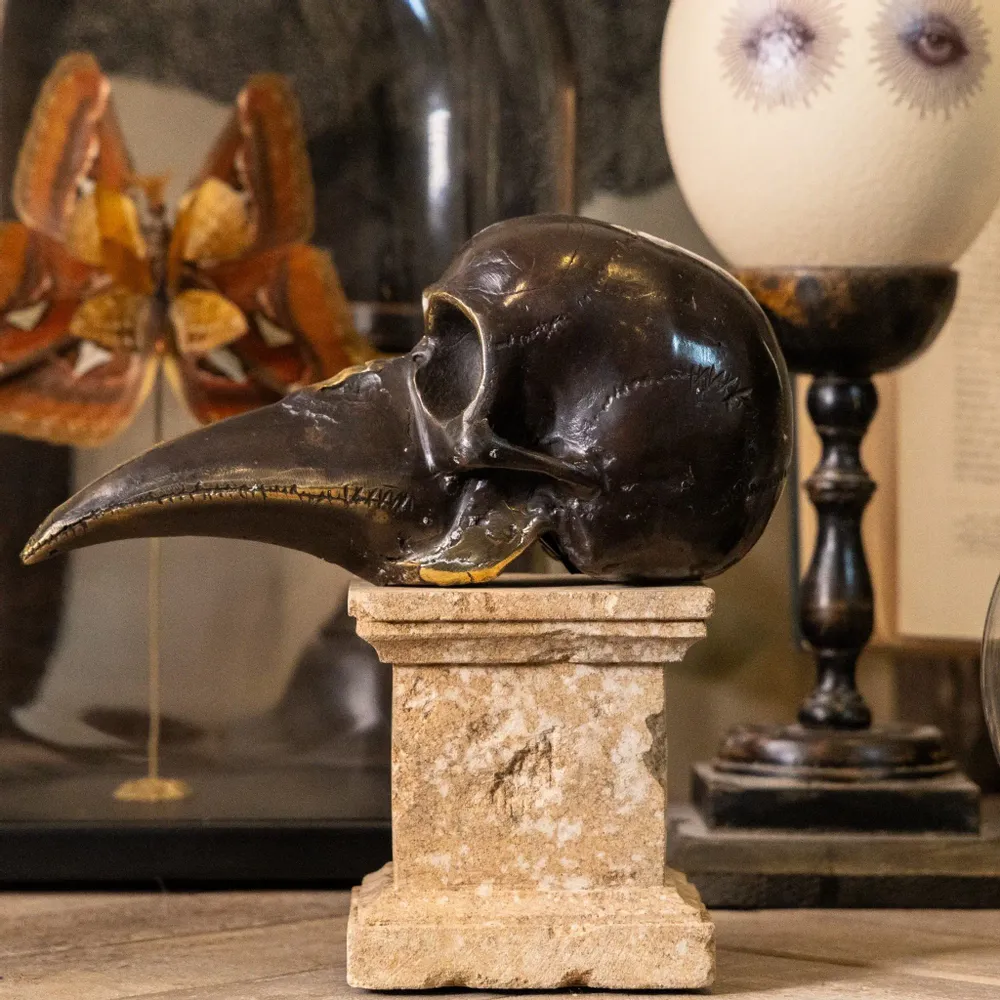 Objets de décoration - Curieux Spécimens - ATELIERS DAVOY