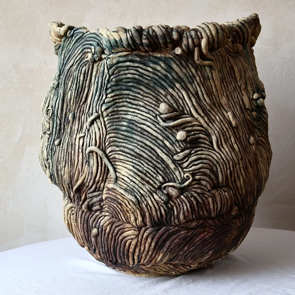 Ceramic - Carved Ceramic Vase with Organic Forms - WOJCIECH DZIENNIAK ART