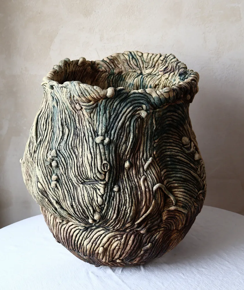 Ceramic - Carved Ceramic Vase with Organic Forms - WOJCIECH DZIENNIAK ART