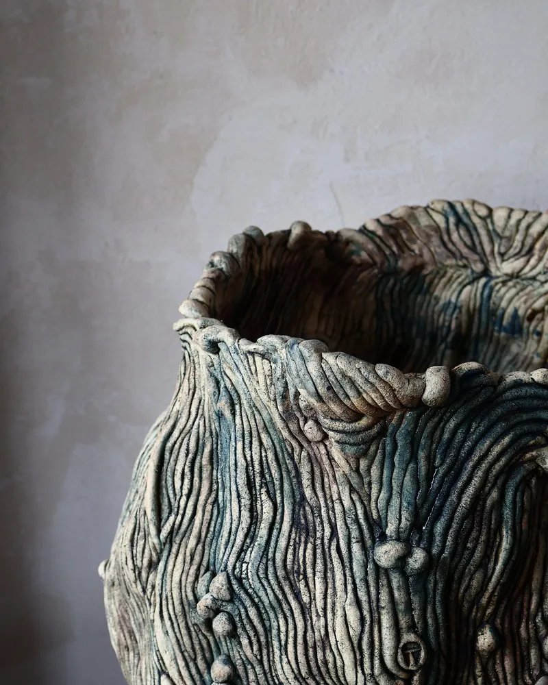 Ceramic - Carved Ceramic Vase with Organic Forms - WOJCIECH DZIENNIAK ART