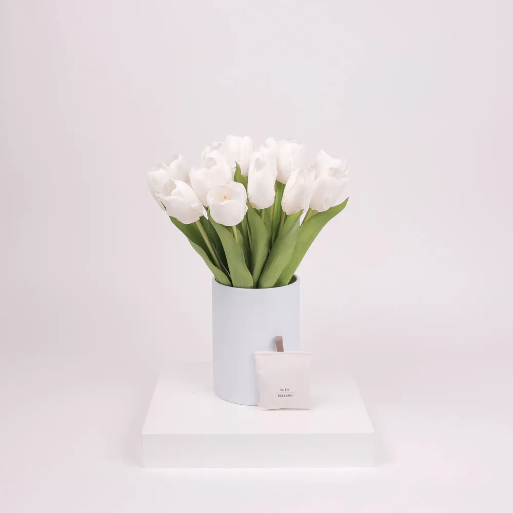 Home fragrances - Blue Jay Edition - NODITO