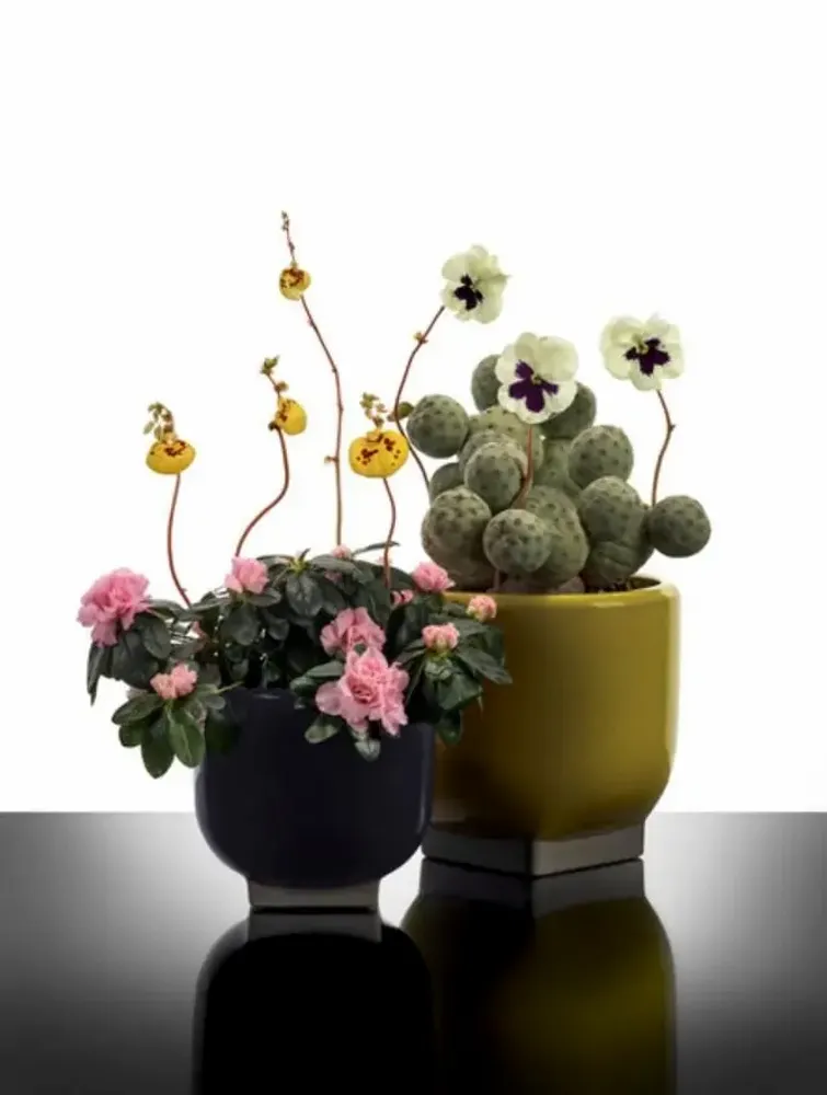 Floral decoration - Rosamar by Kris Van Assche - SERAX