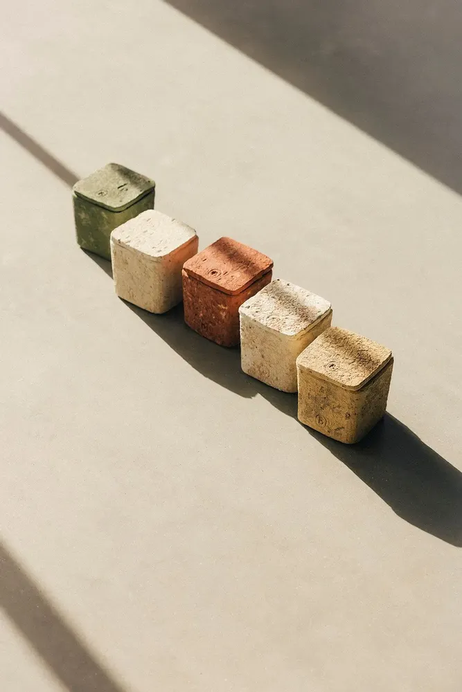 Bougies - WILD ORIGINS - BELLUME