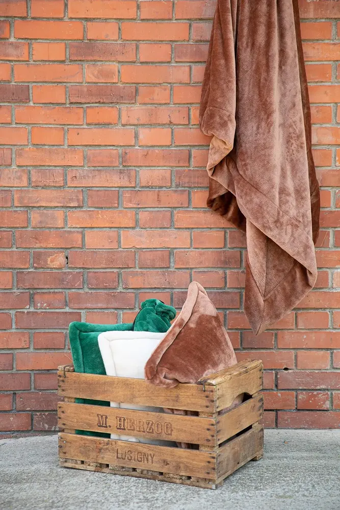 Throw blankets - Tender Throw Blanket Crème 150 X 200 - MAISON VIVARAISE - SDE VIVARAISE WINKLER