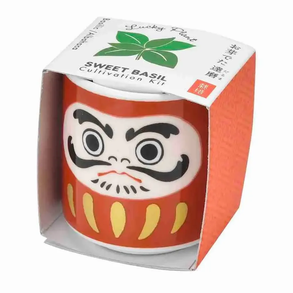 Children's decorative items - Lucky Plants - NOTED