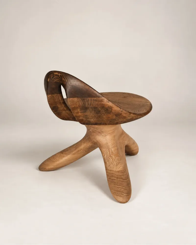 Chaises - Morphe | Fauteuil Sculpté Exclusif | Chêne Européen Massif - NEXART