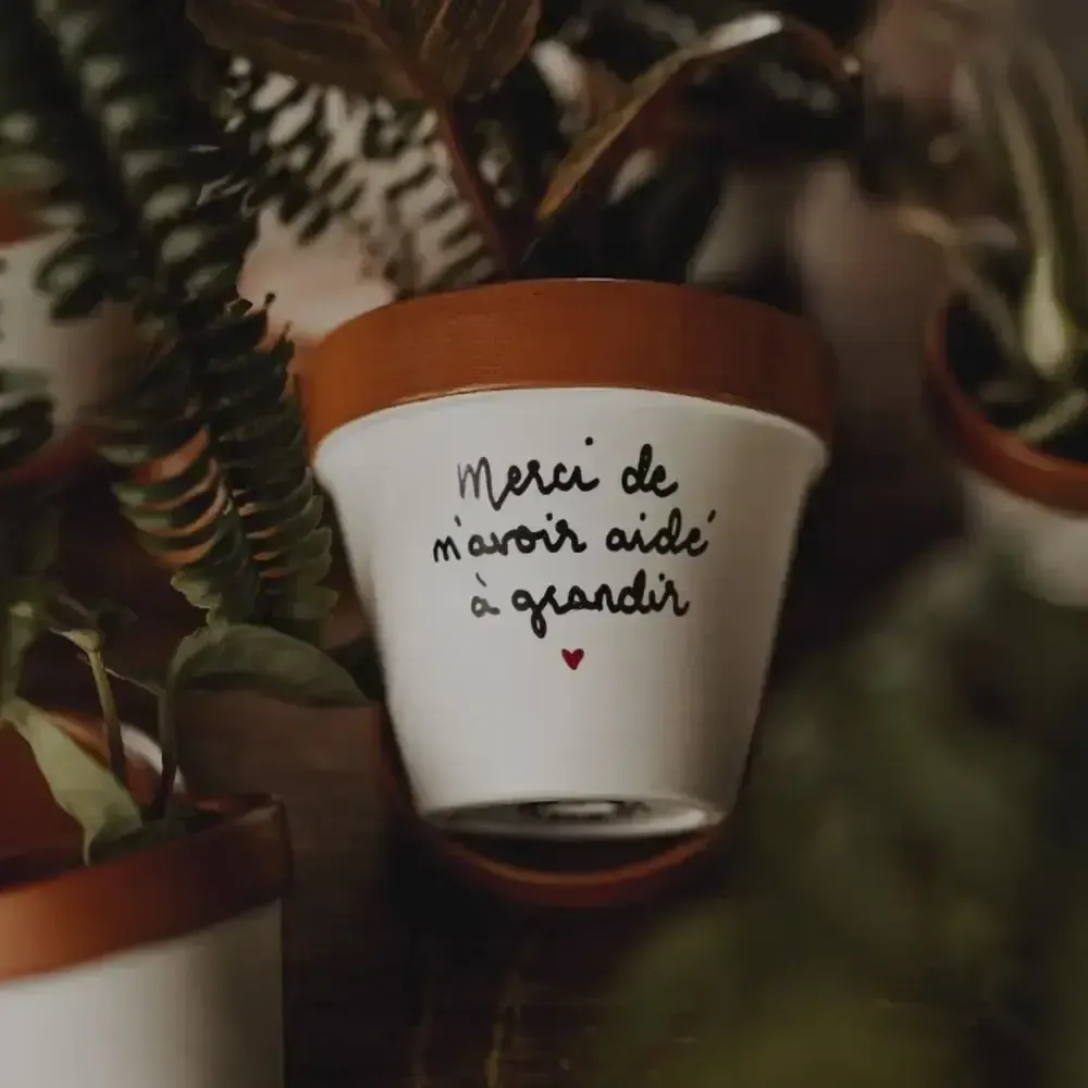 Vases - Pot de fleur, cache-pot, Merci de m'avoir aidé à grandir - JOLI POT