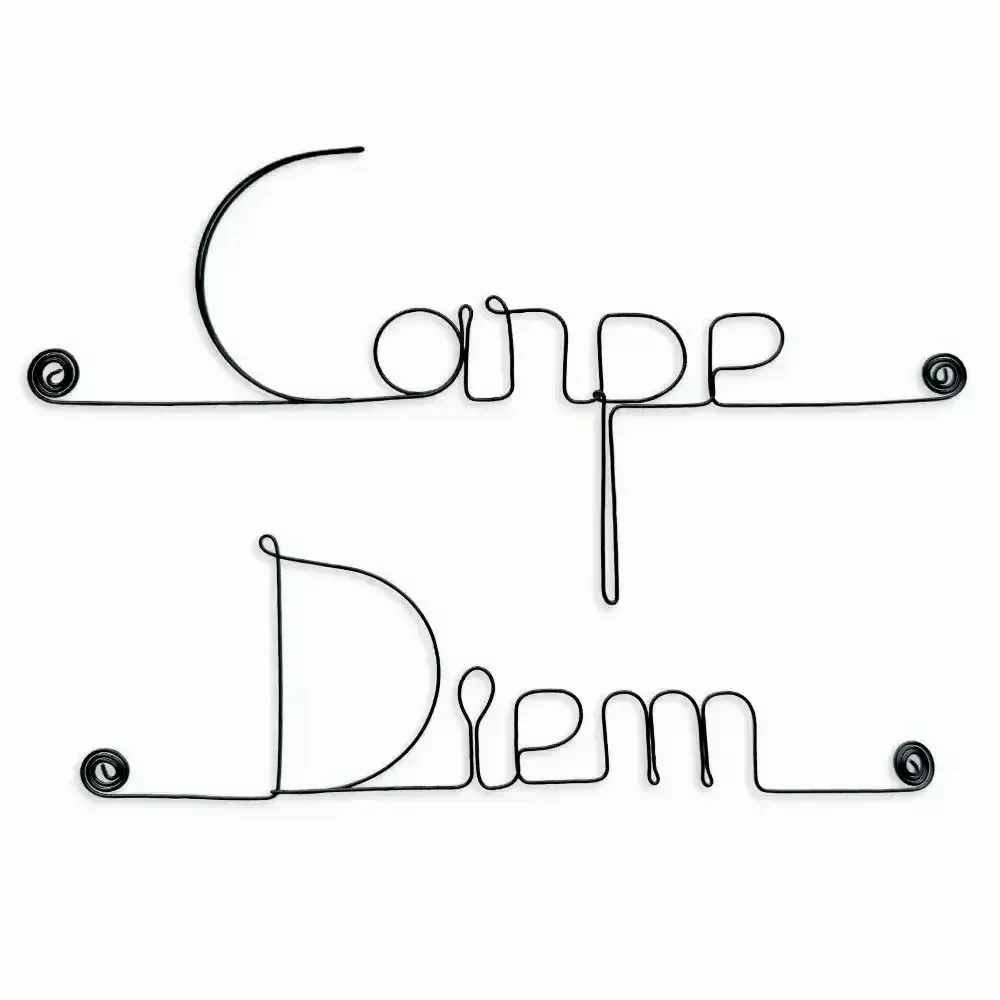 Other wall decoration - Wire wall decoration " Carpe Diem ” - to pin - BIJOUX DE MUR