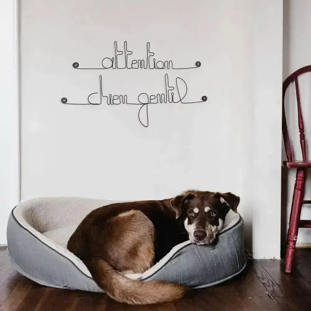 Other wall decoration - Attention, friendly dog door decoration - BIJOUX DE MUR