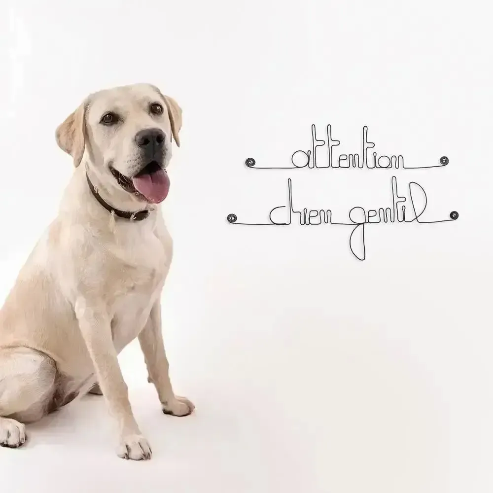 Other wall decoration - Attention, friendly dog door decoration - BIJOUX DE MUR