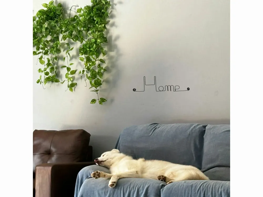 Other wall decoration - Wire Wall Decor\" Home\” - to pin - Wall Jewelry - BIJOUX DE MUR