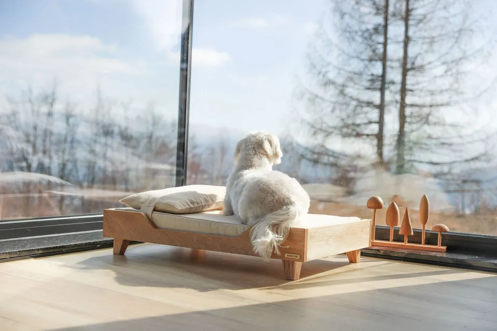Beds - Wooden Pet Bed - WOODEN STORY