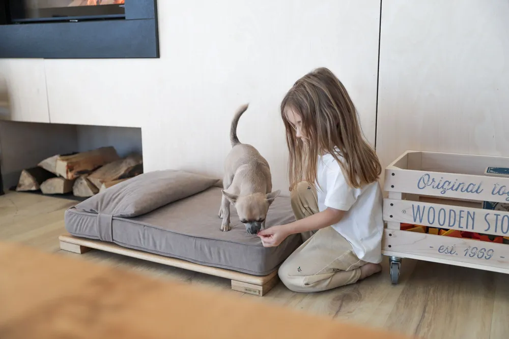 Beds - Wooden Pet Bed - WOODEN STORY