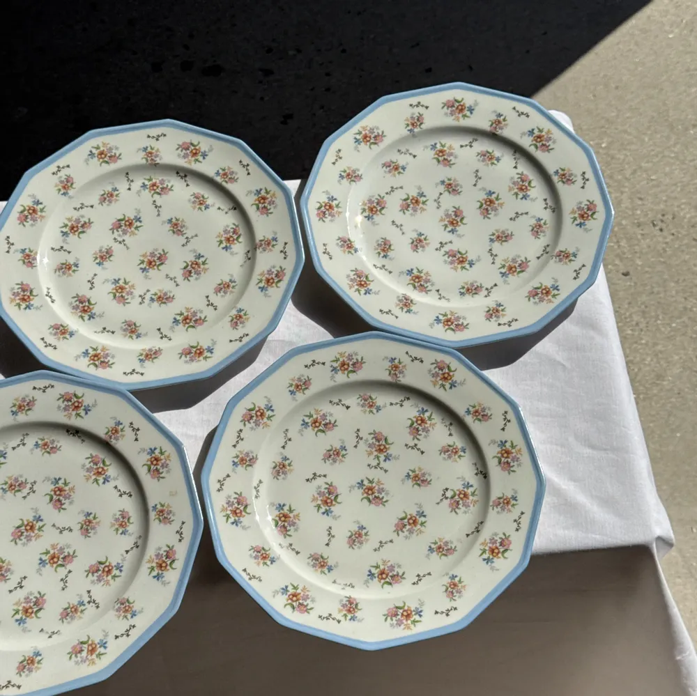 Formal plates - Set of 10 Limoges France porcelain dinner plates with bouquets - OFFICE OBJETS