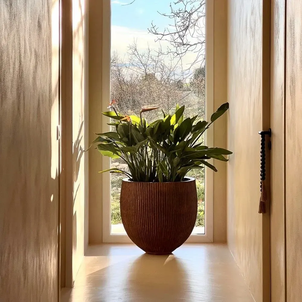 Decorative objects - Striated coconut palm cover pot - DESIGN TRIP