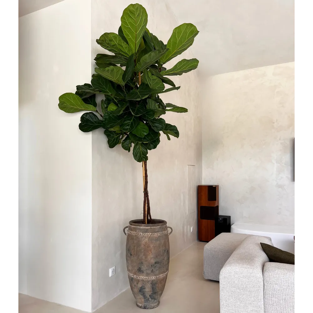 Decorative objects - Antique Kodong Jar - DESIGN TRIP