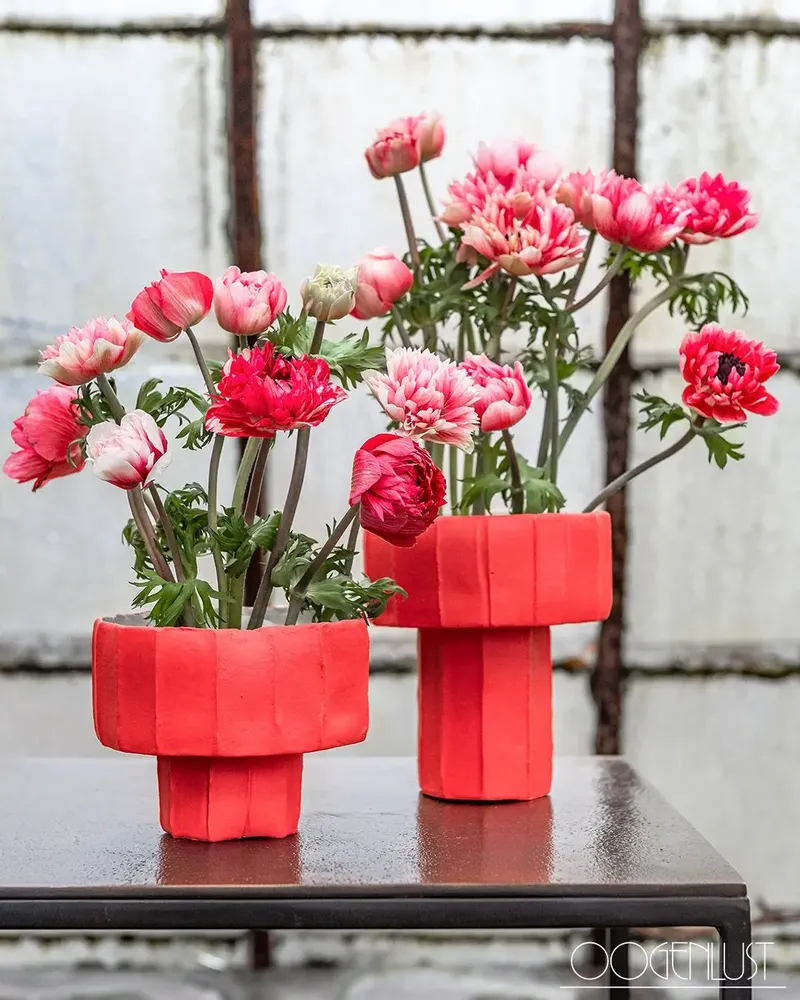 Design objects - COPPA NINFEA - PAOLA PARONETTO