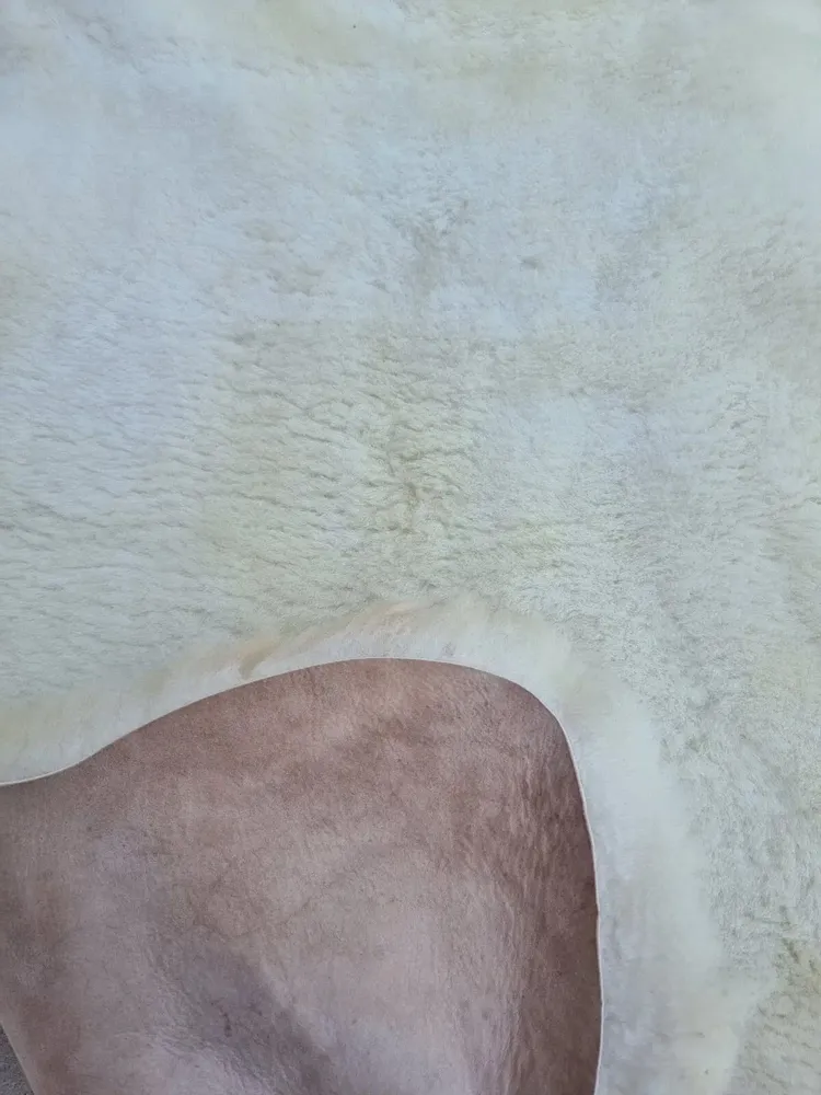 Objets de décoration - Peaux de mouton Mérinos tondues — Vente en gros B2B - PROVELLUS SHEEPSKIN PRODUCER