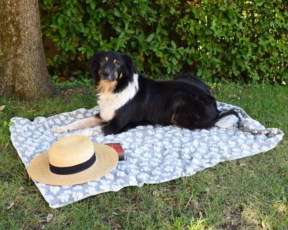Fabrics - Zampa pet blanket - SOFIA TOSCANO