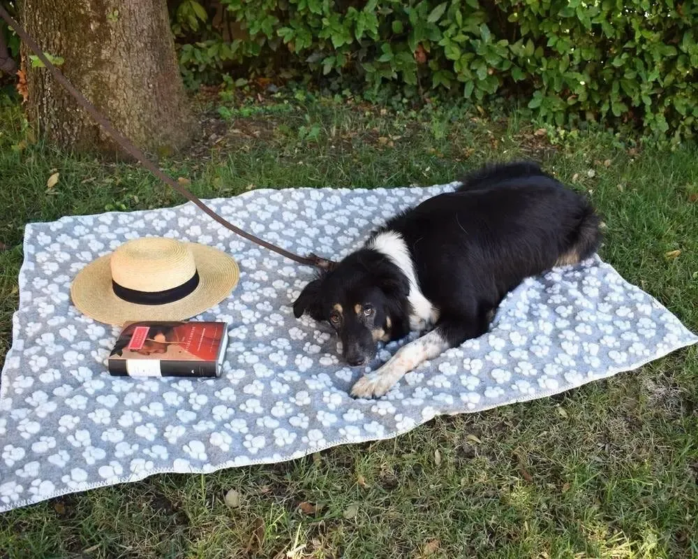 Fabrics - Zampa pet blanket - SOFIA TOSCANO