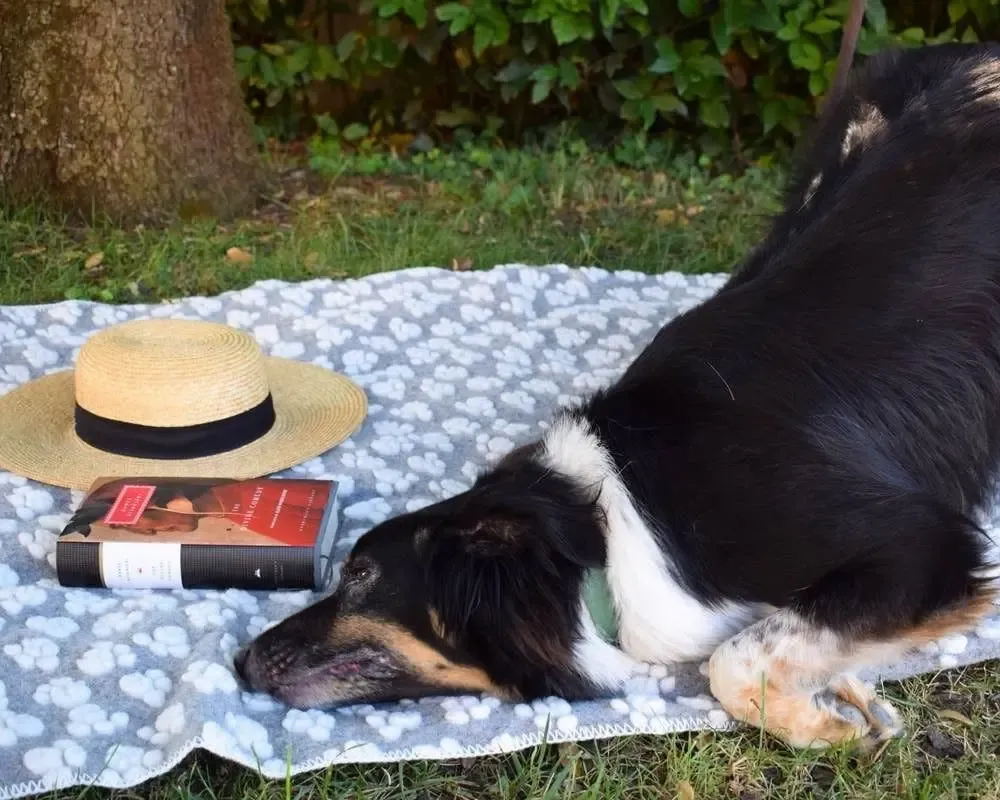 Fabrics - Zampa pet blanket - SOFIA TOSCANO