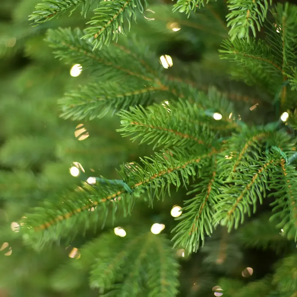 Aménagements pour bureau - HELSINKI - Sapin de Noël artificiel d'aspect naturel - VAN DER GUCHT, SINCE 1870