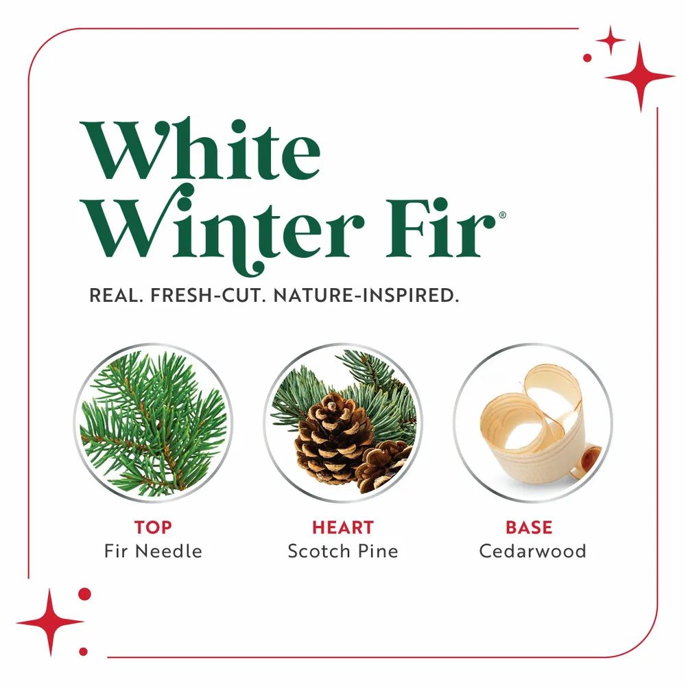 Cadeaux - SCENTSICLES White Winter Fir - ScentMister Spray Parfumé - SCENTSICLES