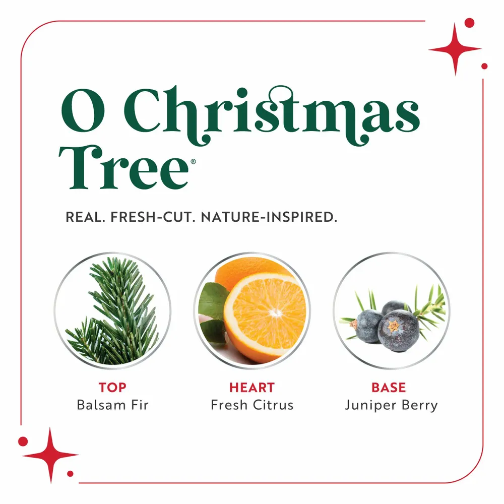 Home fragrances - SCENTSICLES - O Christmas Tree Scented Ornaments Sticks - VAN DER GUCHT, SINCE 1870