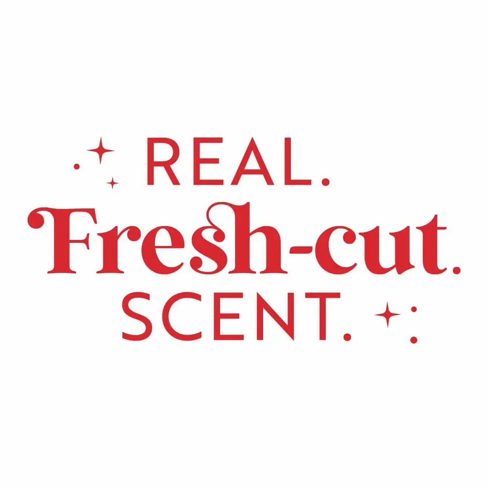 Home fragrances - SCENTSICLES White Winter Fir - ScentMister Scented Spray - VAN DER GUCHT, SINCE 1870