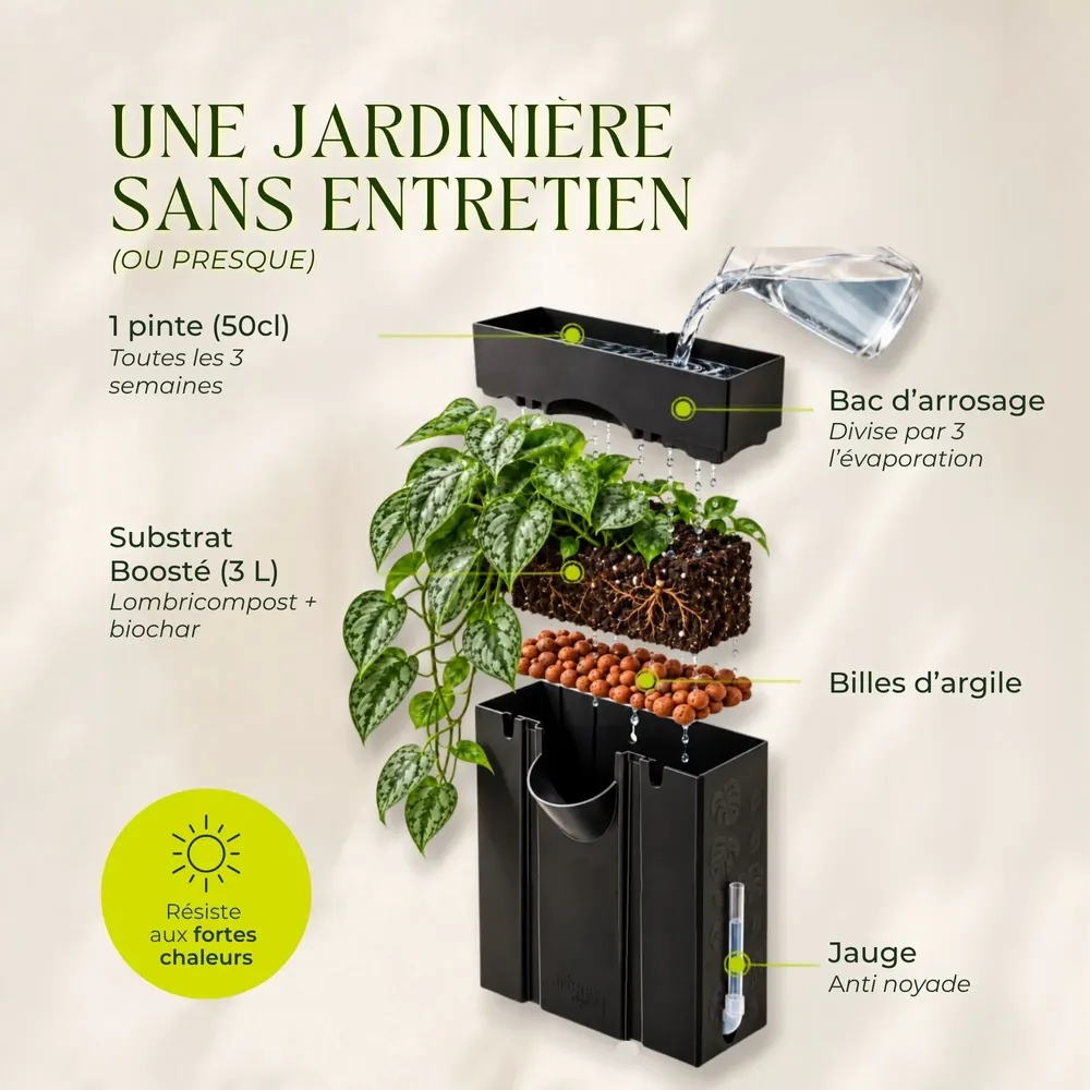 Objets de décoration - Tableau végétal design - plantes vivantes - Sand 60x40 - ARTENA VEGETAL