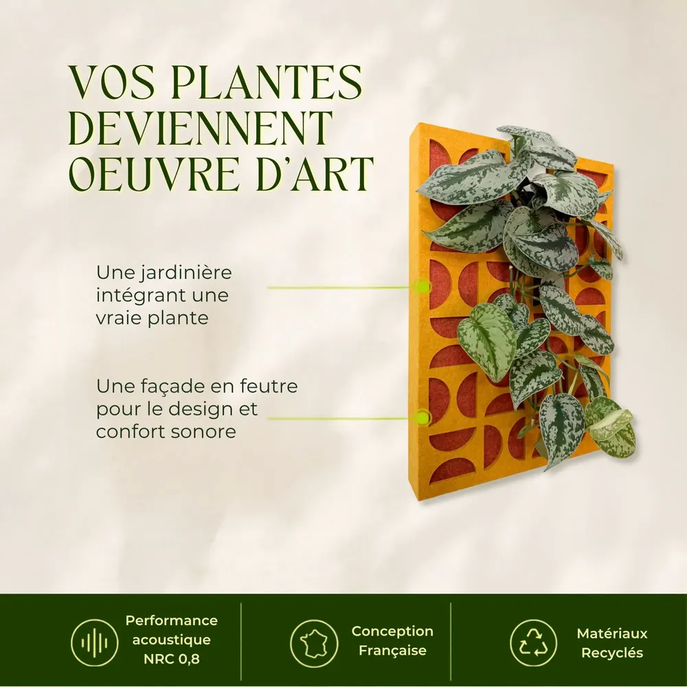 Décorations florales - Tableau végétal design - plantes vivantes - Seventys 60x40 - ARTENA VEGETAL