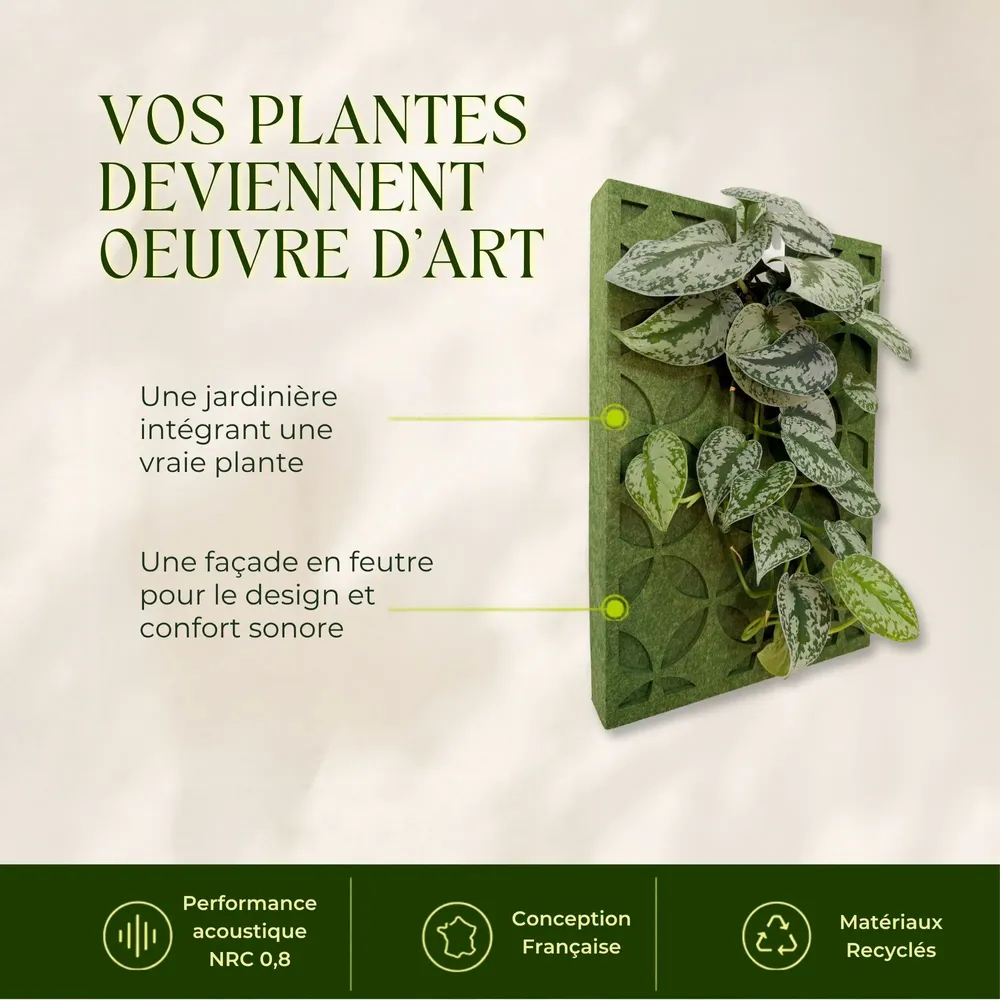 Objets de décoration - Tableau végétal design - plantes vivantes - Retro 60x40 - ARTENA VEGETAL