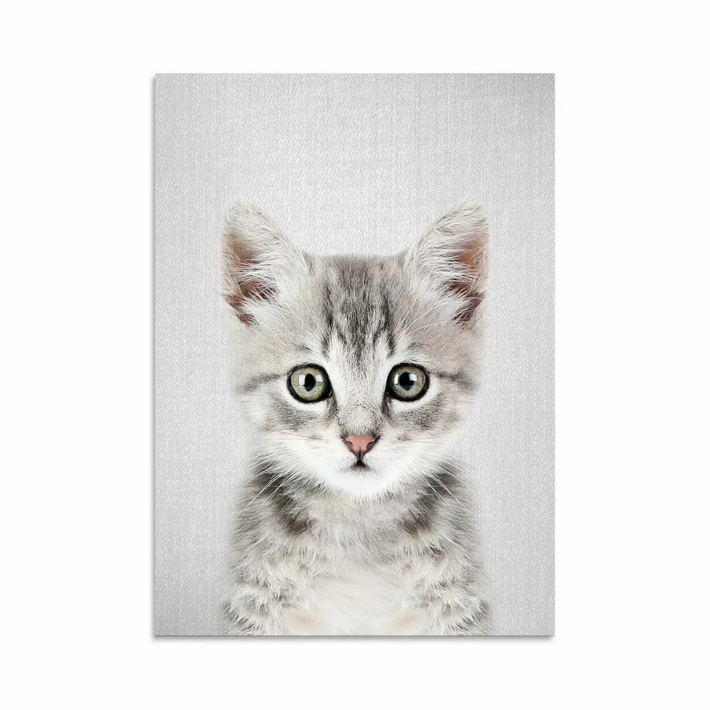 Card shop - Art-Card - Art-Card - Kitten - Gal Design - WALL EDITIONS