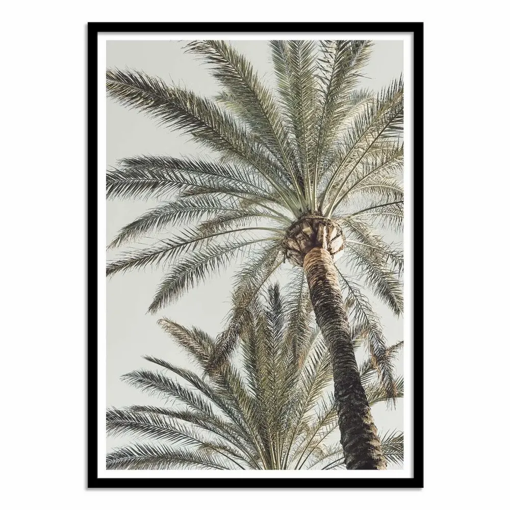 Poster - Art-Poster - Palm_005 - Pictufy Studio III - WALL EDITIONS