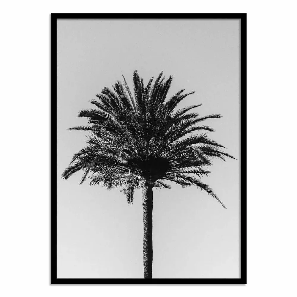 Poster - Art-Poster - Palm_003 - Pictufy Studio III - WALL EDITIONS